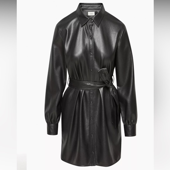 Wilfred Dresses & Skirts - WILFRED Caroline Dress